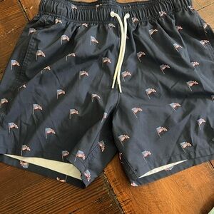 Hollister Navy Flag Print Swim Shorts